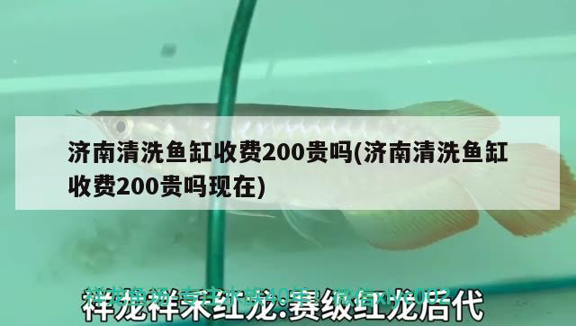 濟南清洗魚缸收費200貴嗎(濟南清洗魚缸收費200貴嗎現(xiàn)在)