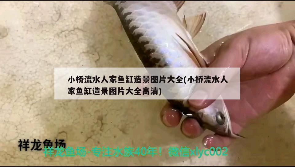 小橋流水人家魚缸造景圖片大全(小橋流水人家魚缸造景圖片大全高清) 帝王血鉆魚