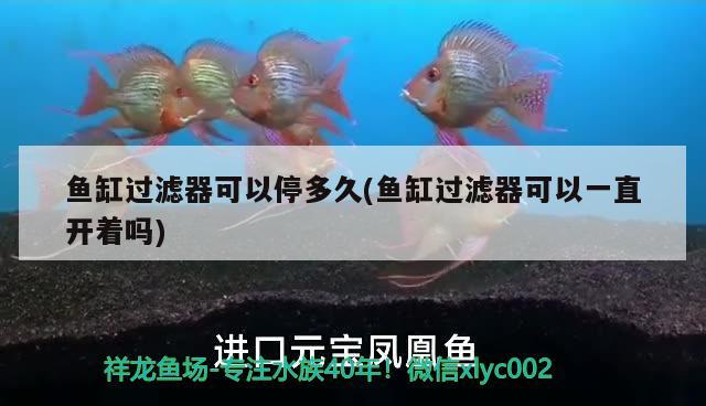 魚缸過濾器可以停多久(魚缸過濾器可以一直開著嗎)