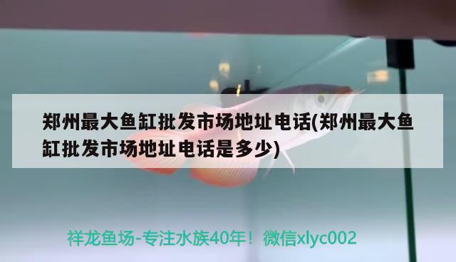 鄭州最大魚(yú)缸批發(fā)市場(chǎng)地址電話(鄭州最大魚(yú)缸批發(fā)市場(chǎng)地址電話是多少)