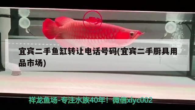 宜賓二手魚缸轉(zhuǎn)讓電話號碼(宜賓二手廚具用品市場)