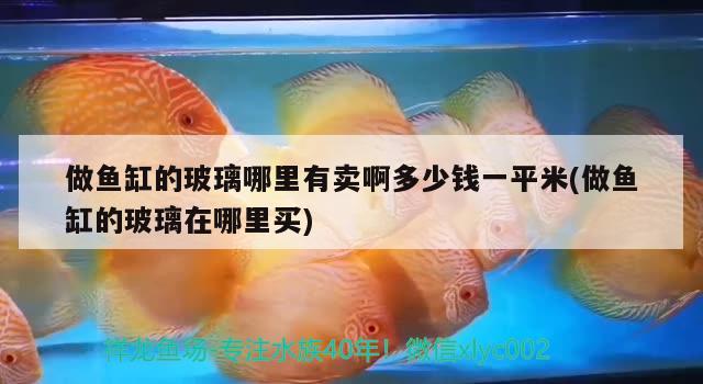 做魚缸的玻璃哪里有賣啊多少錢一平米(做魚缸的玻璃在哪里買) 殺菌消毒設備