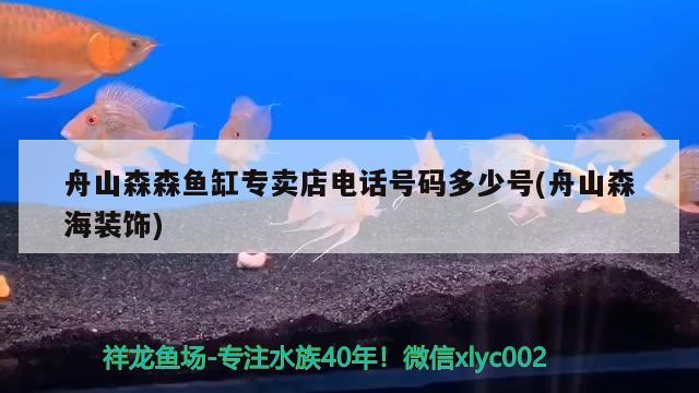 舟山森森魚缸專賣店電話號碼多少號(舟山森海裝飾)