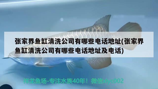 張家界魚缸清洗公司有哪些電話地址(張家界魚缸清洗公司有哪些電話地址及電話)