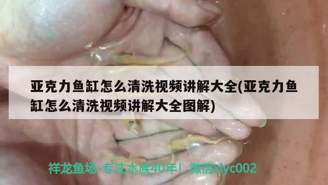 亞克力魚缸怎么清洗視頻講解大全(亞克力魚缸怎么清洗視頻講解大全圖解) 魚缸凈水劑