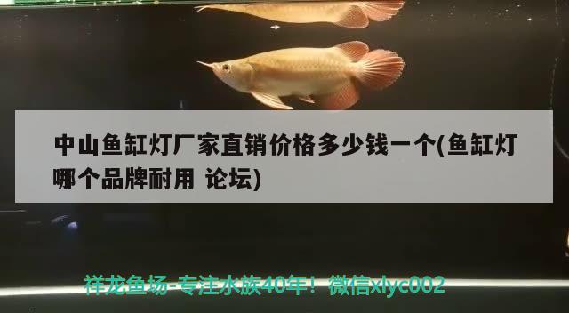 中山魚缸燈廠家直銷價格多少錢一個(魚缸燈哪個品牌耐用論壇)