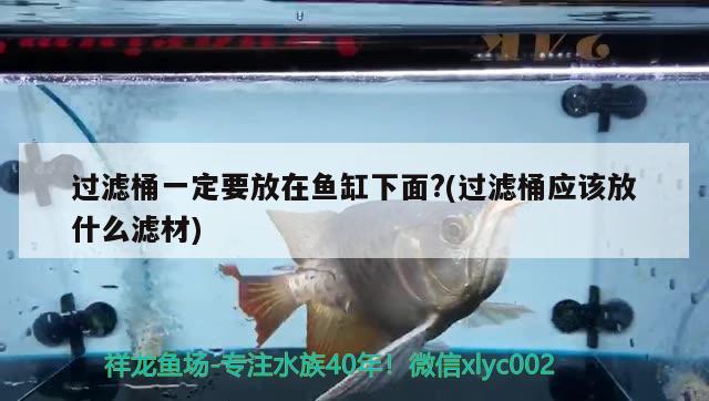 過濾桶一定要放在魚缸下面?(過濾桶應(yīng)該放什么濾材) 魚缸水質(zhì)穩(wěn)定劑 第1張