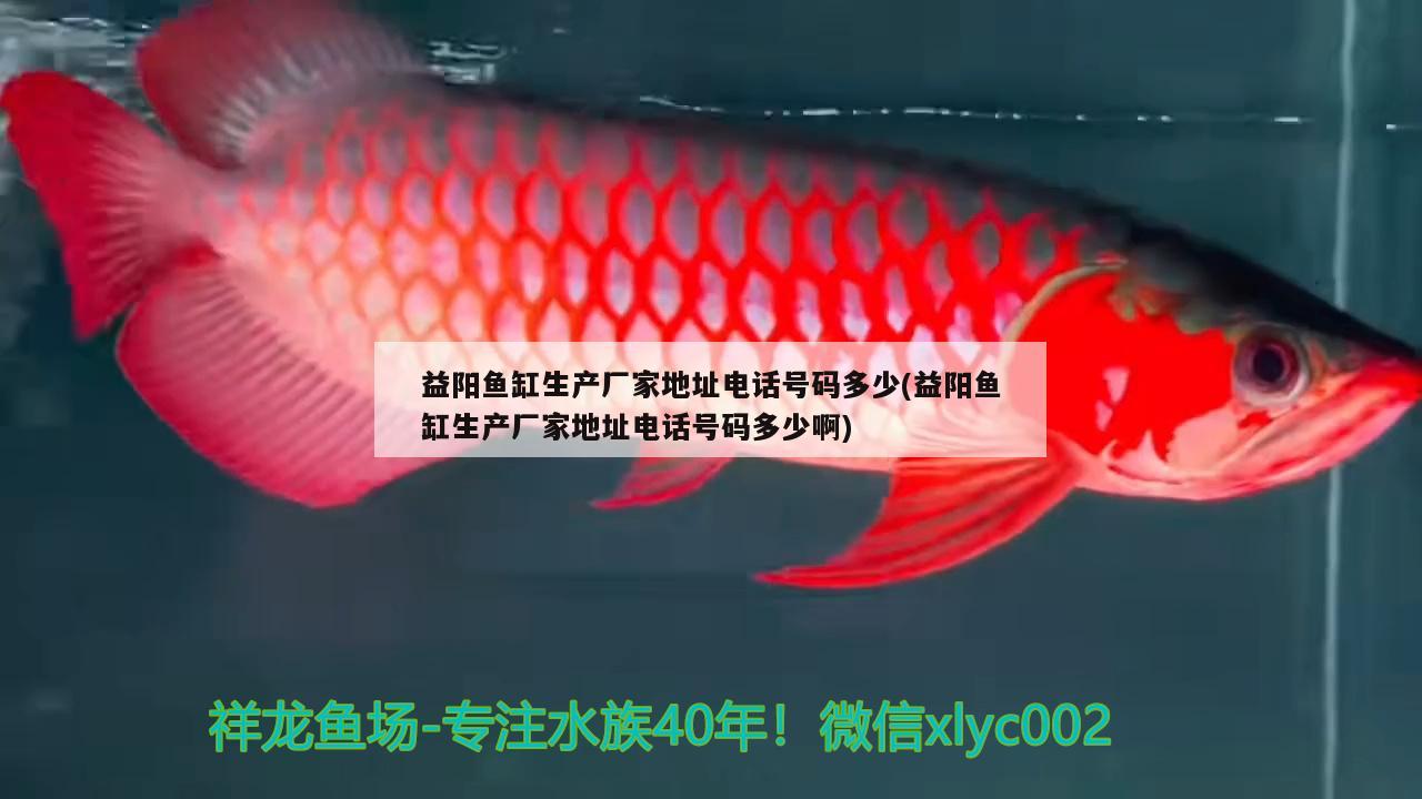 益陽(yáng)魚缸生產(chǎn)廠家地址電話號(hào)碼多少(益陽(yáng)魚缸生產(chǎn)廠家地址電話號(hào)碼多少啊) 三色錦鯉魚 第2張