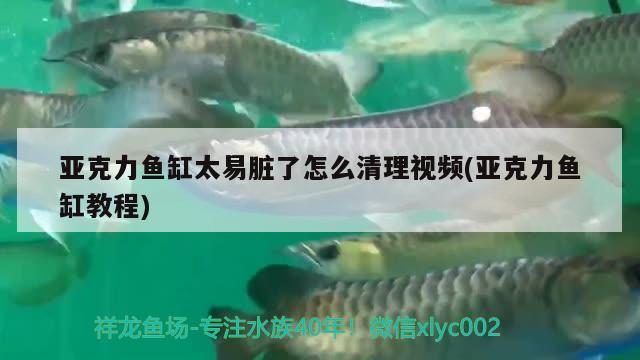 亞克力魚(yú)缸太易臟了怎么清理視頻(亞克力魚(yú)缸教程)