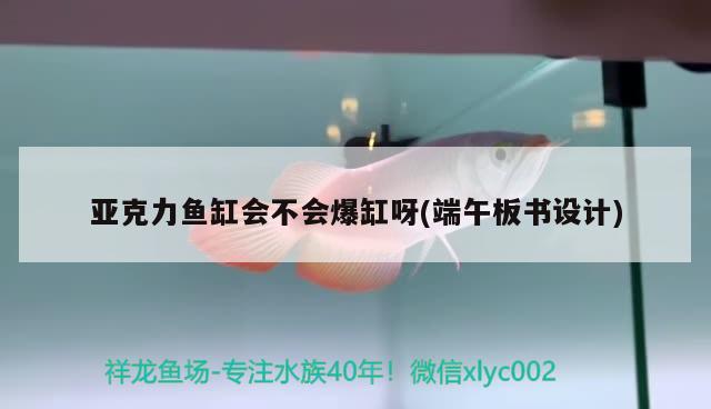 亞克力魚缸會不會爆缸呀(端午板書設計) 銀古魚苗