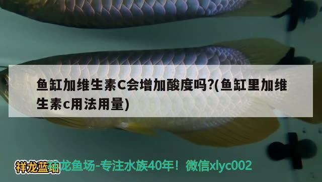 魚缸加維生素C會(huì)增加酸度嗎?(魚缸里加維生素c用法用量) 招財(cái)戰(zhàn)船魚