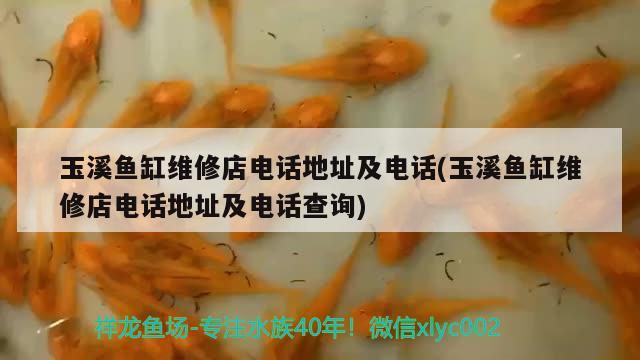 玉溪魚缸維修店電話地址及電話(玉溪魚缸維修店電話地址及電話查詢)