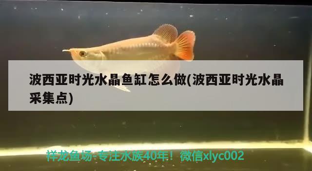 波西亞時(shí)光水晶魚(yú)缸怎么做(波西亞時(shí)光水晶采集點(diǎn))