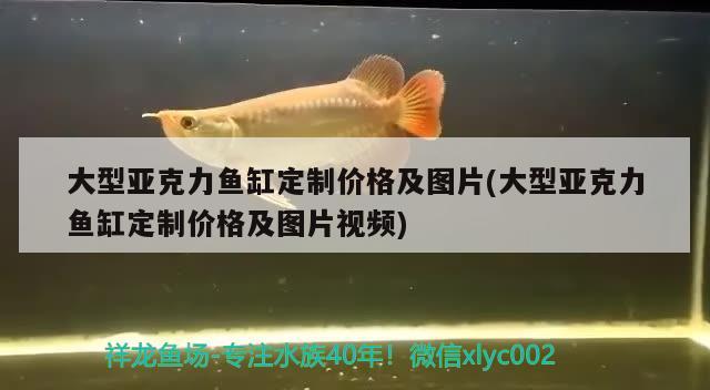 大型亞克力魚(yú)缸定制價(jià)格及圖片(大型亞克力魚(yú)缸定制價(jià)格及圖片視頻)