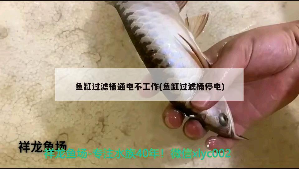 魚缸過濾桶通電不工作(魚缸過濾桶停電) 超血紅龍魚