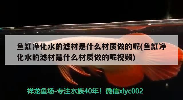 魚缸凈化水的濾材是什么材質(zhì)做的呢(魚缸凈化水的濾材是什么材質(zhì)做的呢視頻)