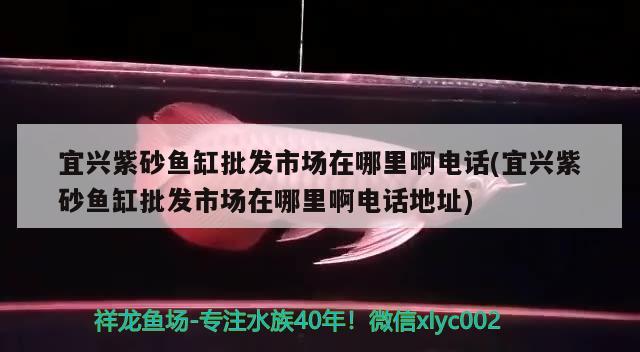 宜興紫砂魚缸批發(fā)市場(chǎng)在哪里啊電話(宜興紫砂魚缸批發(fā)市場(chǎng)在哪里啊電話地址)