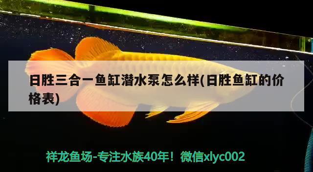 日勝三合一魚缸潛水泵怎么樣(日勝魚缸的價(jià)格表) 祥龍赫舞紅龍魚