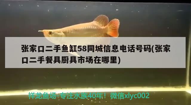 張家口二手魚缸58同城信息電話號碼(張家口二手餐具廚具市場在哪里)