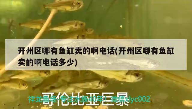 開州區(qū)哪有魚缸賣的啊電話(開州區(qū)哪有魚缸賣的啊電話多少)