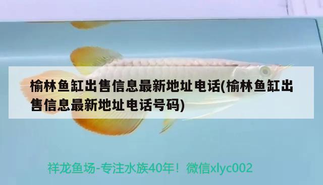 榆林魚缸出售信息最新地址電話(榆林魚缸出售信息最新地址電話號(hào)碼) 細(xì)線銀板魚苗