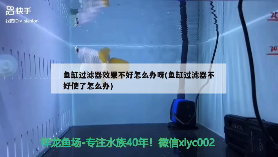 魚缸過濾器效果不好怎么辦呀(魚缸過濾器不好使了怎么辦) 小型觀賞魚