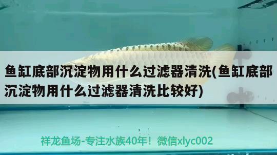 魚缸底部沉淀物用什么過濾器清洗(魚缸底部沉淀物用什么過濾器清洗比較好)