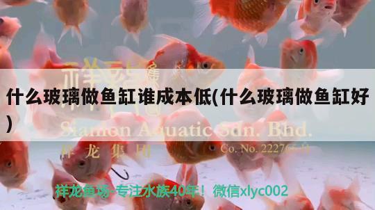 什么玻璃做魚缸誰成本低(什么玻璃做魚缸好)