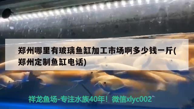 鄭州哪里有玻璃魚缸加工市場啊多少錢一斤(鄭州定制魚缸電話) 蘇虎