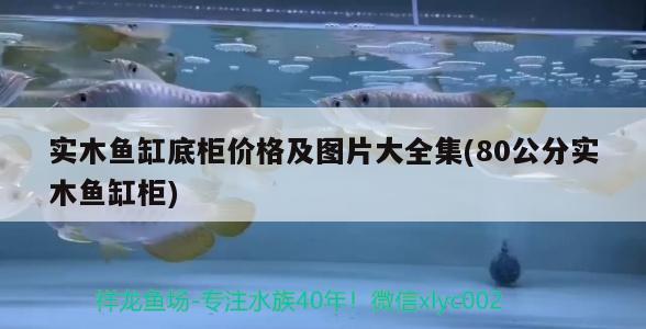 實木魚缸底柜價格及圖片大全集(80公分實木魚缸柜) 黃寬帶蝴蝶魚