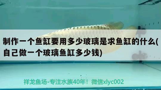 制作一個(gè)魚缸要用多少玻璃是求魚缸的什么(自己做一個(gè)玻璃魚缸多少錢) 養(yǎng)魚知識(shí)