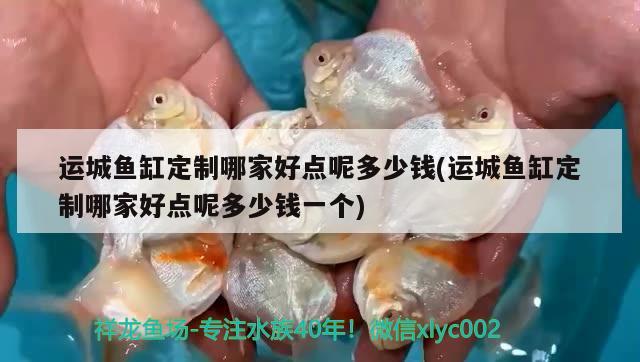 運城魚缸定制哪家好點呢多少錢(運城魚缸定制哪家好點呢多少錢一個) 殺菌消毒設(shè)備