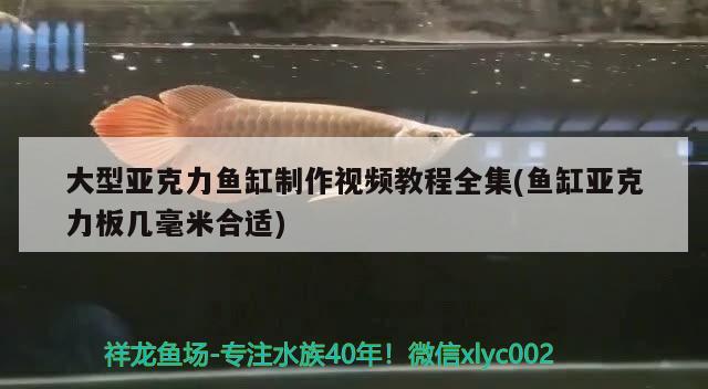 大型亞克力魚缸制作視頻教程全集(魚缸亞克力板幾毫米合適) 委內(nèi)瑞拉奧里諾三間魚苗