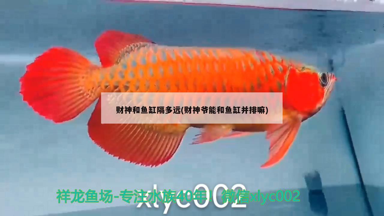 財神和魚缸隔多遠(yuǎn)(財神爺能和魚缸并排嘛) 魚缸清潔用具