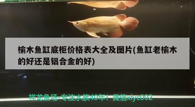 榆木魚缸底柜價(jià)格表大全及圖片(魚缸老榆木的好還是鋁合金的好) 元寶鳳凰魚專用魚糧