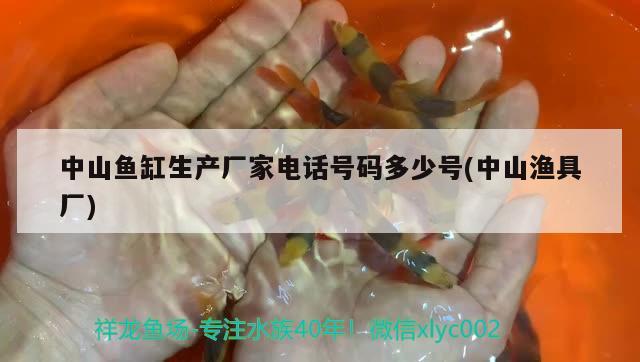 中山魚缸生產(chǎn)廠家電話號(hào)碼多少號(hào)(中山漁具廠) 其它水族用具設(shè)備