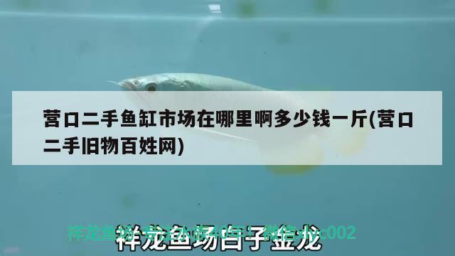 營口二手魚缸市場在哪里啊多少錢一斤(營口二手舊物百姓網(wǎng))