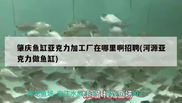 肇慶魚缸亞克力加工廠在哪里啊招聘(河源亞克力做魚缸)