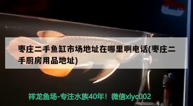 棗莊二手魚缸市場地址在哪里啊電話(棗莊二手廚房用品地址) 廣州水族批發(fā)市場