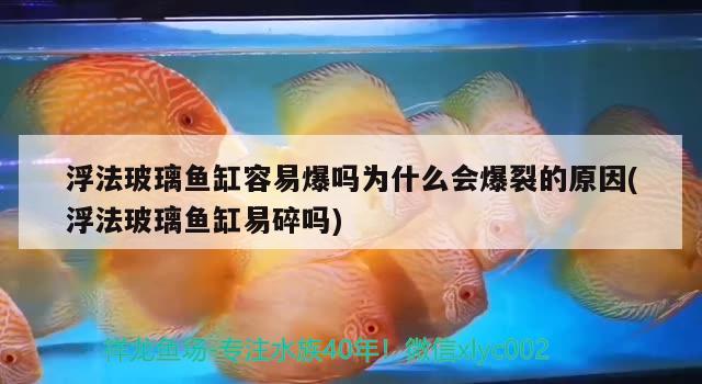 浮法玻璃魚缸容易爆嗎為什么會爆裂的原因(浮法玻璃魚缸易碎嗎) 魚缸凈水劑 第2張