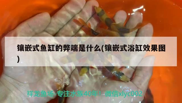 鑲嵌式魚缸的弊端是什么(鑲嵌式浴缸效果圖)