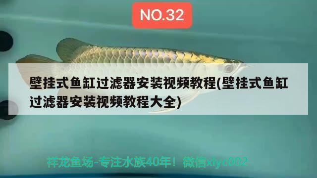 壁掛式魚缸過(guò)濾器安裝視頻教程(壁掛式魚缸過(guò)濾器安裝視頻教程大全) 胭脂孔雀龍魚