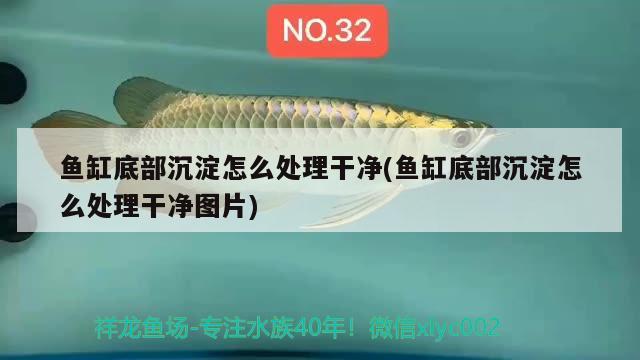 魚缸底部沉淀怎么處理干凈(魚缸底部沉淀怎么處理干凈圖片) 哥倫比亞巨暴魚苗