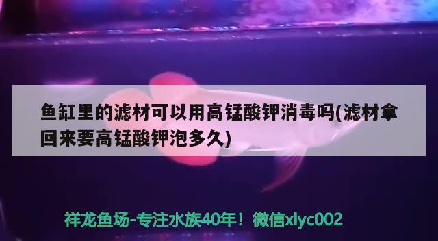 魚(yú)缸里的濾材可以用高錳酸鉀消毒嗎(濾材拿回來(lái)要高錳酸鉀泡多久) 觀賞魚(yú)企業(yè)目錄