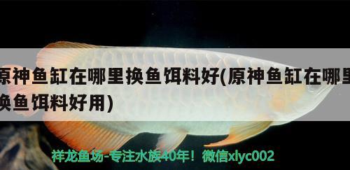 原神魚缸在哪里換魚餌料好(原神魚缸在哪里換魚餌料好用) 祥龍龍魚專用水族燈