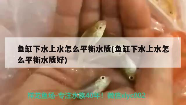 魚缸下水上水怎么平衡水質(zhì)(魚缸下水上水怎么平衡水質(zhì)好)