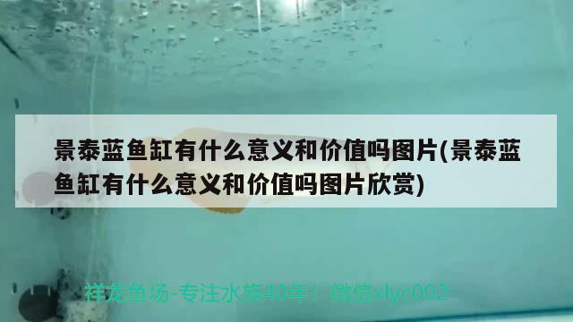 景泰藍(lán)魚缸有什么意義和價(jià)值嗎圖片(景泰藍(lán)魚缸有什么意義和價(jià)值嗎圖片欣賞) 魟魚百科 第2張