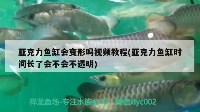 亞克力魚(yú)缸會(huì)變形嗎視頻教程(亞克力魚(yú)缸時(shí)間長(zhǎng)了會(huì)不會(huì)不透明) 殺菌消毒設(shè)備