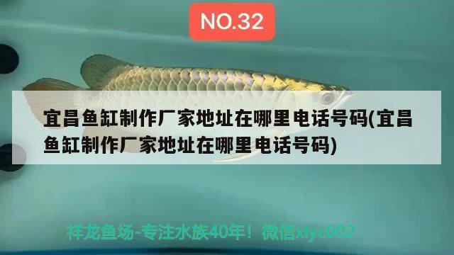 宜昌魚缸制作廠家地址在哪里電話號碼(宜昌魚缸制作廠家地址在哪里電話號碼)