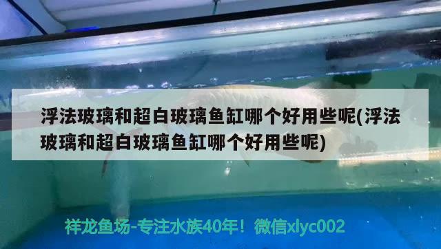 浮法玻璃和超白玻璃魚缸哪個(gè)好用些呢(浮法玻璃和超白玻璃魚缸哪個(gè)好用些呢)